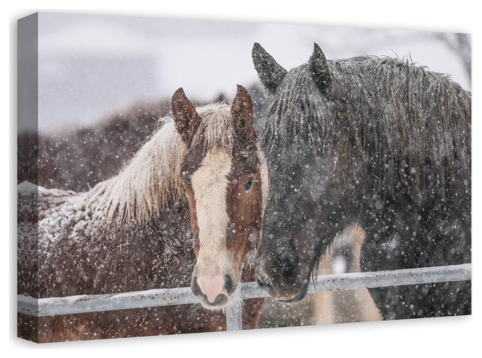 Snowy Horses 24x16 Canvas Wall Art