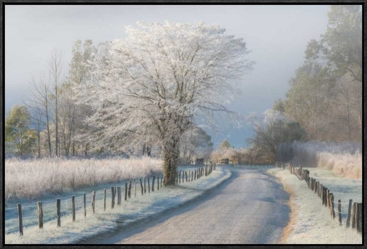 "A Frosty Morning" Framed Canvas Giclee by Chris Moore, 31x21"