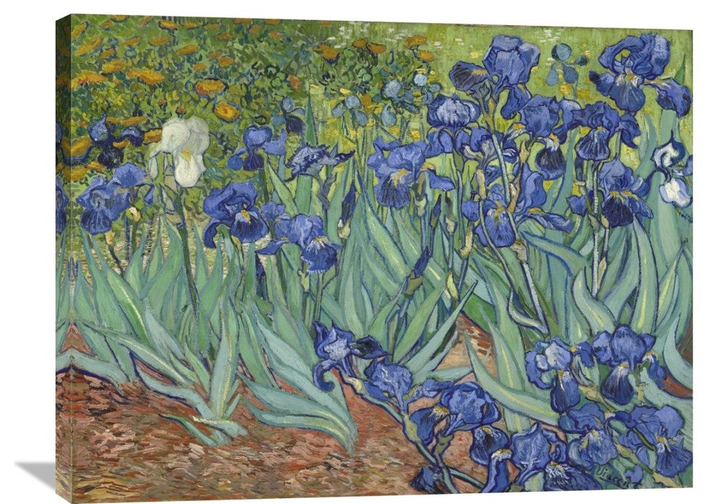 "Irises, 1889" Artwork, 36" x 27"