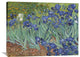 "Irises, 1889" Artwork, 36" x 27"