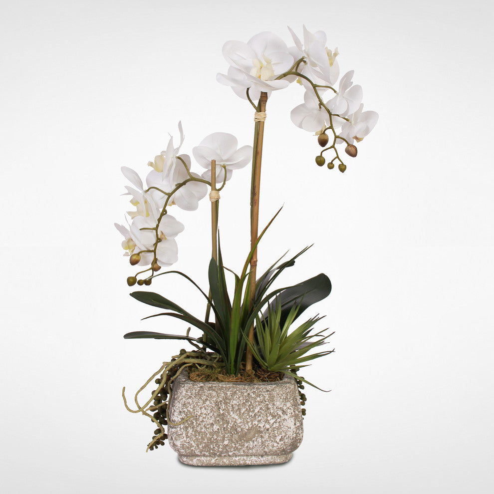Real Touch Phalaenopsis Orchids With Succulents, Concrete Pot