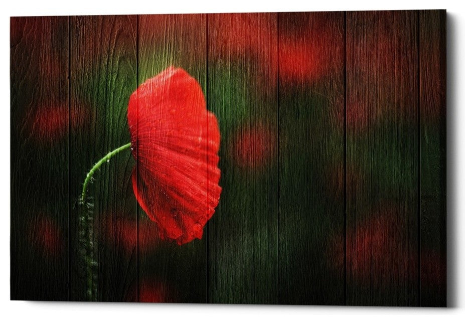 Epic Graffiti "Wood Series: A Red Poppy" Giclee Canvas Wall Art, 26"x40"