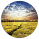 Tea Plantation Under Cloudy Sky, Landscape Round Wall Art, 11"