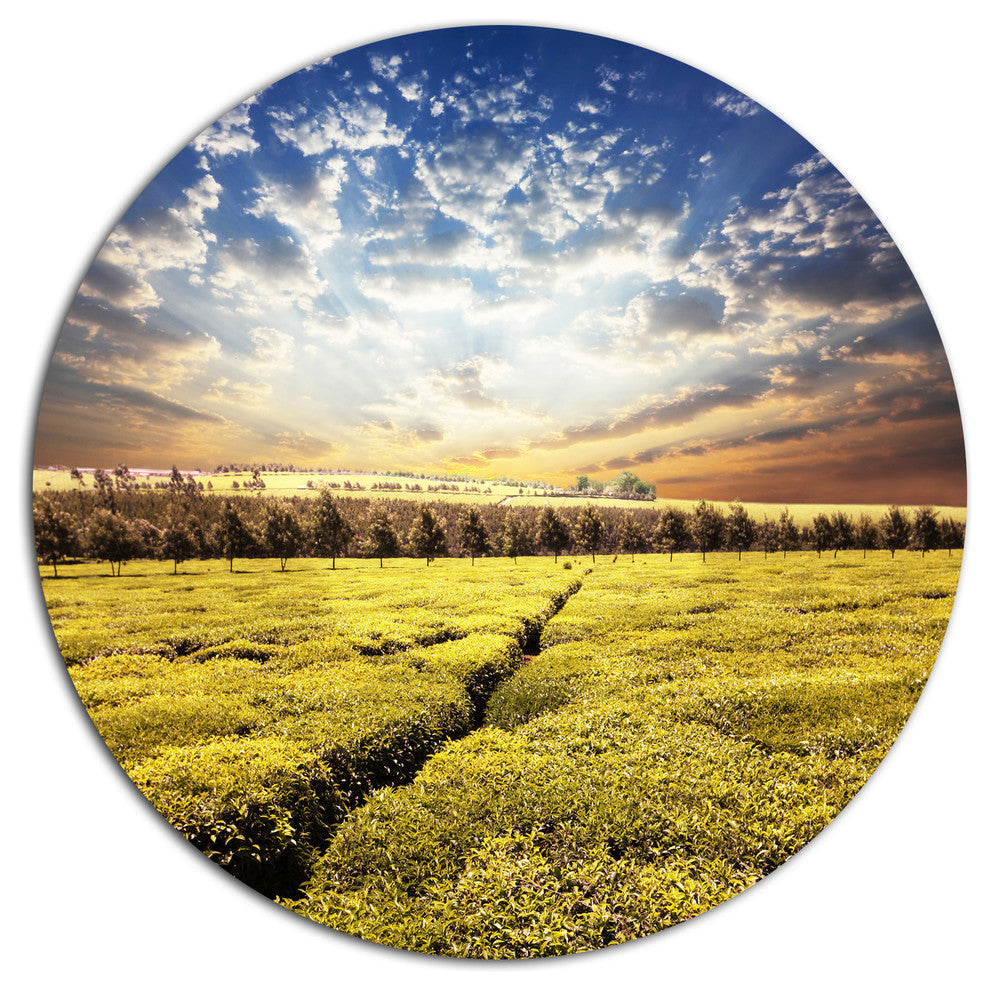 Tea Plantation Under Cloudy Sky, Landscape Round Wall Art, 11"