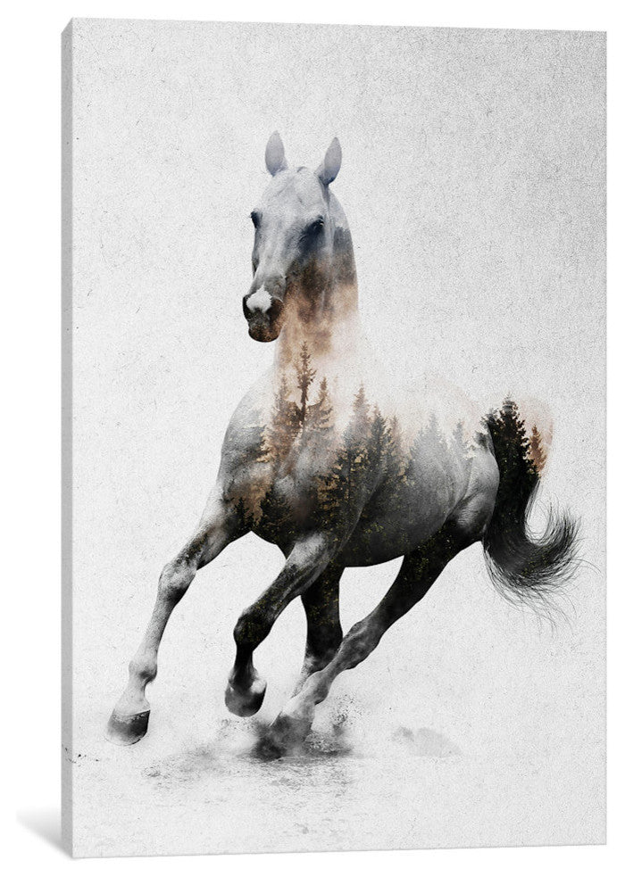 "Horse IV" by Andreas Lie, Canvas Print, 26"x18"