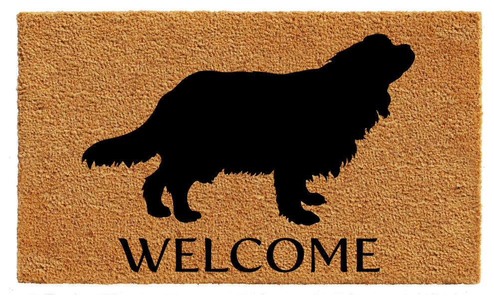 Calloway Mills Cavalier King Charles Spaniel Doormat, 24"x36"