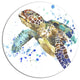 Blue Sea Turtle Illustration, Animal Round Wall Art, 23"