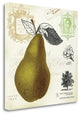 "Pear Notes" By Studio Mousseau, Giclee Print on Gallery Wrap Canvas