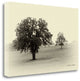 "Horses And Tress II" By Debra Van Swearingen, Giclee on Gallery Wrap Canvas