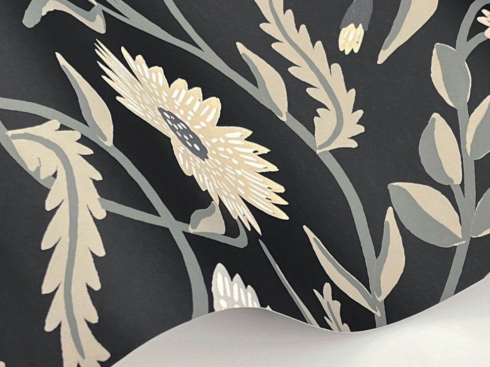 Aster Black Wallpaper