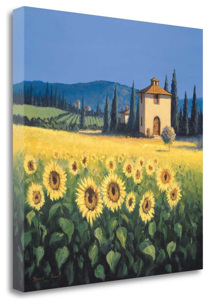 "Golden Warmth" By David Short,Ready to Hang Giclee Print on Gallery Wrap Canvas