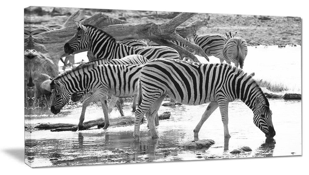 Herd of Zebra Black and White, African Canvas Art Print, 32"x16"