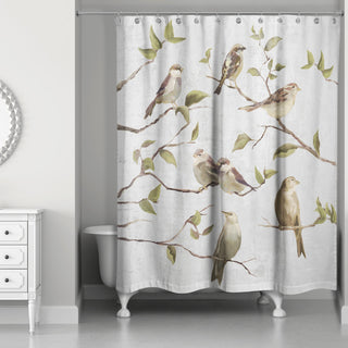 Light Gray Birds on Branches 71x74 Shower Curtain