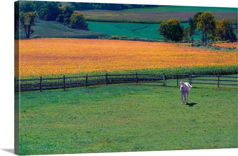 "Amish Country" Wrapped Canvas Art Print, 36"x22"x1.5"