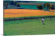 "Amish Country" Wrapped Canvas Art Print, 36"x22"x1.5"