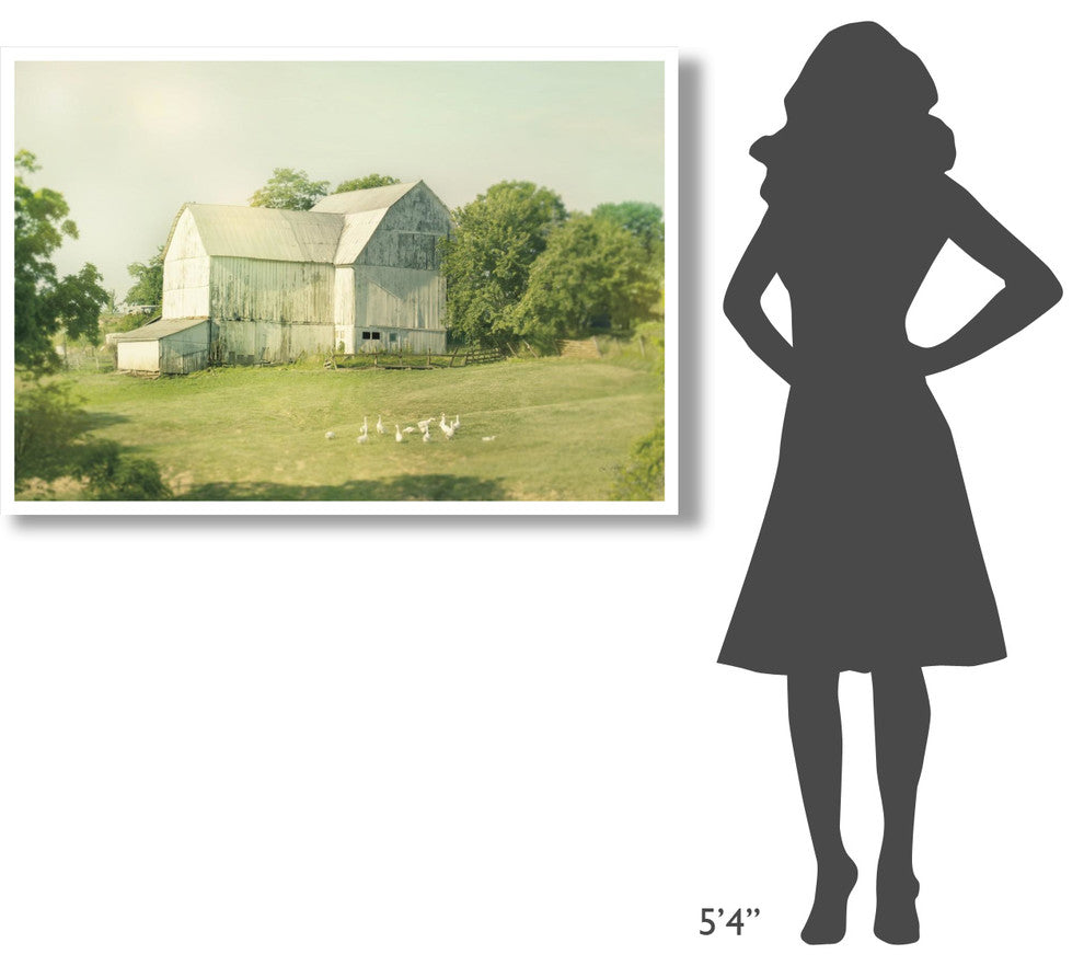 "Farm Morning III" Digital Paper Print by Sue Schlabach, 50"x34"