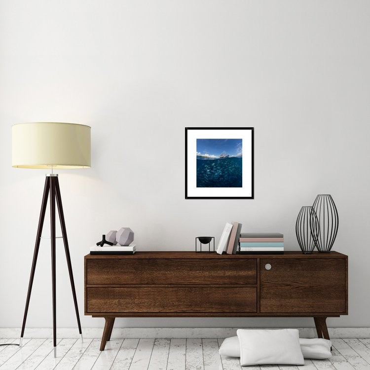 "Go Diving?" Framed Digital Print by Andrey Narchuk, 23x24"