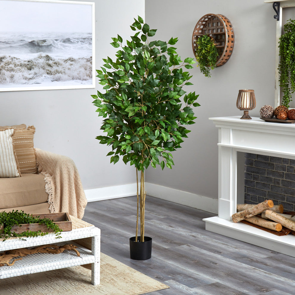Lifestyle room context showing plant in room