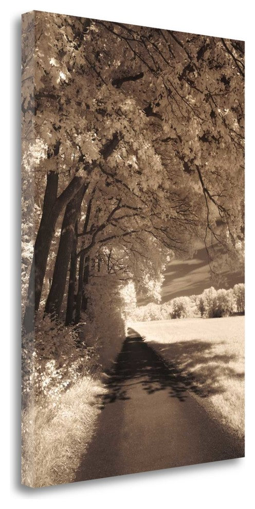 "The Path Ahead" By Ily Szilagyi, Giclee Print on Gallery Wrap Canvas