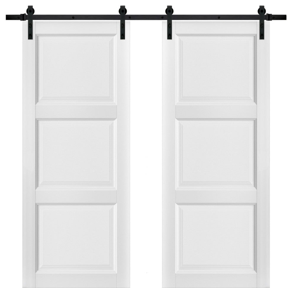 Double Barn Door 60x80 Panels | Lucia 2661 Matte White | 13FT Rail Set