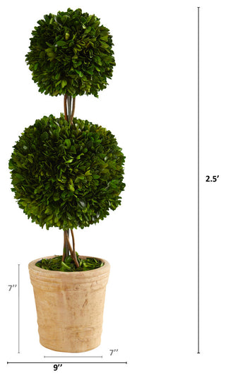 Instructional diagram with measurements and lines illustrating dimensions of the topiary.