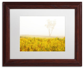 PIPA Fine Art 'Dreams of Goldenrod and Fog' Matted Framed Art, 14x11