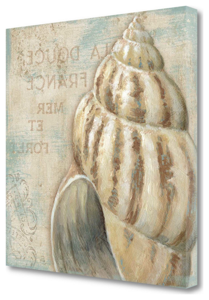 Rustic French Seashell 1 Giclee Wrap Canvas Wall Art