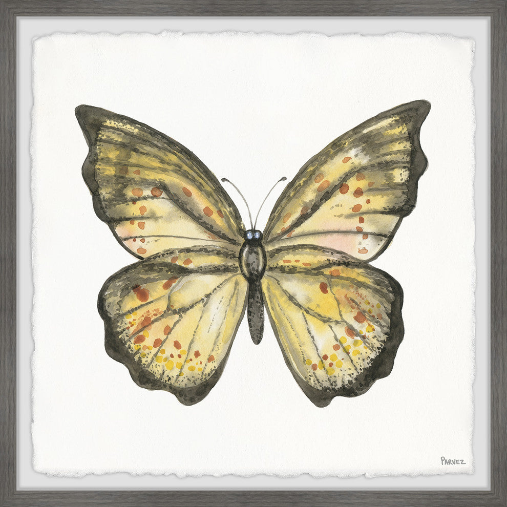 "Big Yellow Mariposa" Framed Painting Print, 12"x12", 12"x12"
