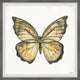 "Big Yellow Mariposa" Framed Painting Print, 12"x12", 12"x12"