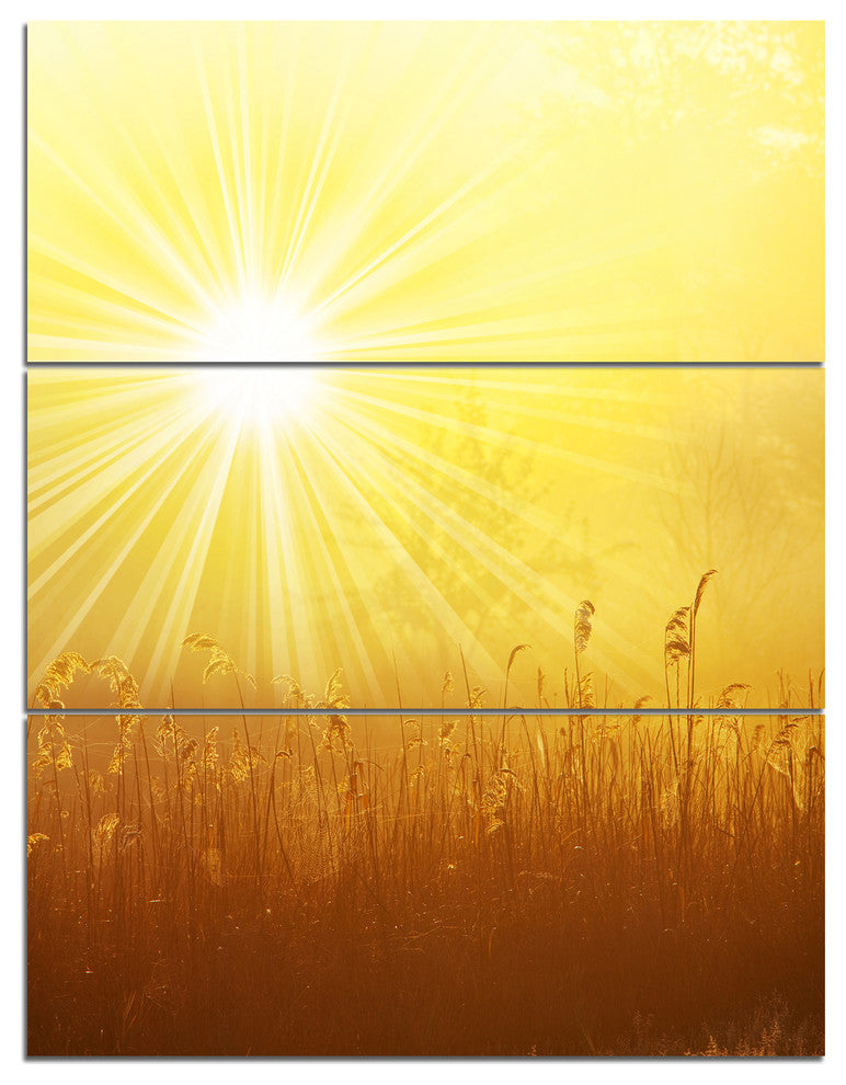 Amazing Sunrise over Meadow, Landscape Triptych Canvas Art, 28x36, 3 Panels
