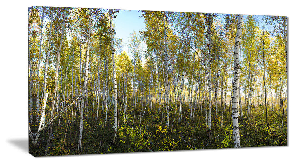 "Green Autumn Trees" Canvas Print