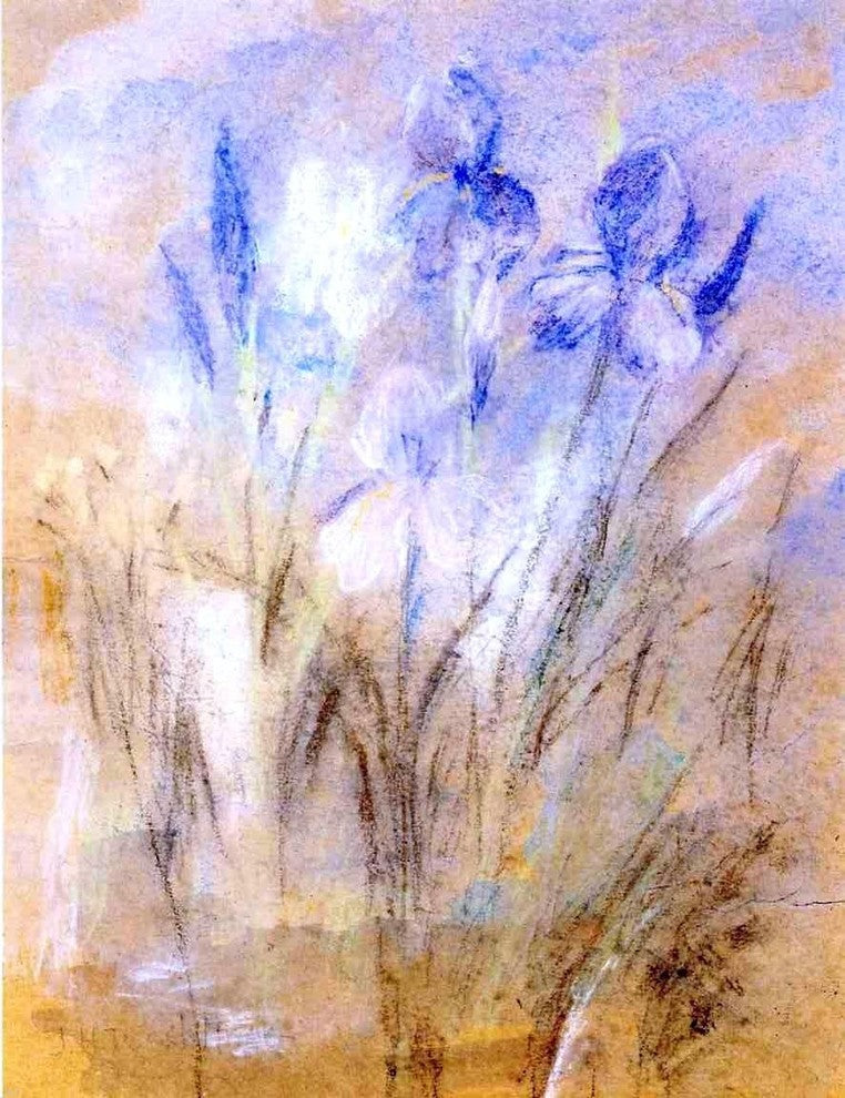 John Twachtman Irises, 21"x28" Wall Decal Print