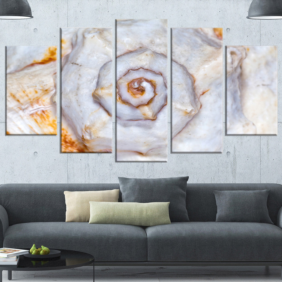 Great Skeleton of Sea Shell, Oversized Animal Wall Art, 60"x32", 5 Panels