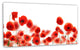 Lovely Poppy Flowers on White, Floral Canvas Art Print, 32"x16"