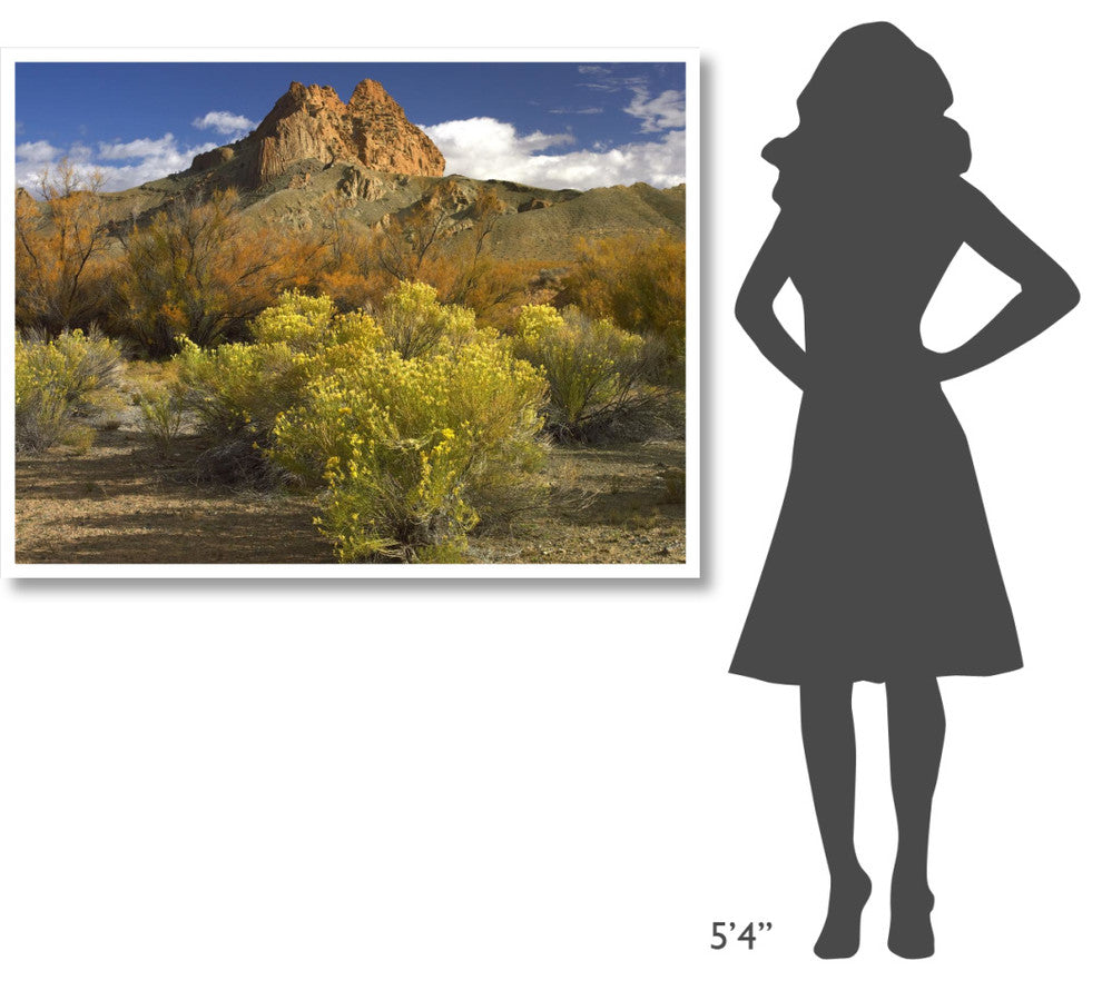 "Mitten Rock, New Mexico" Digital Paper Print by Tim Fitzharris, 50"x38"