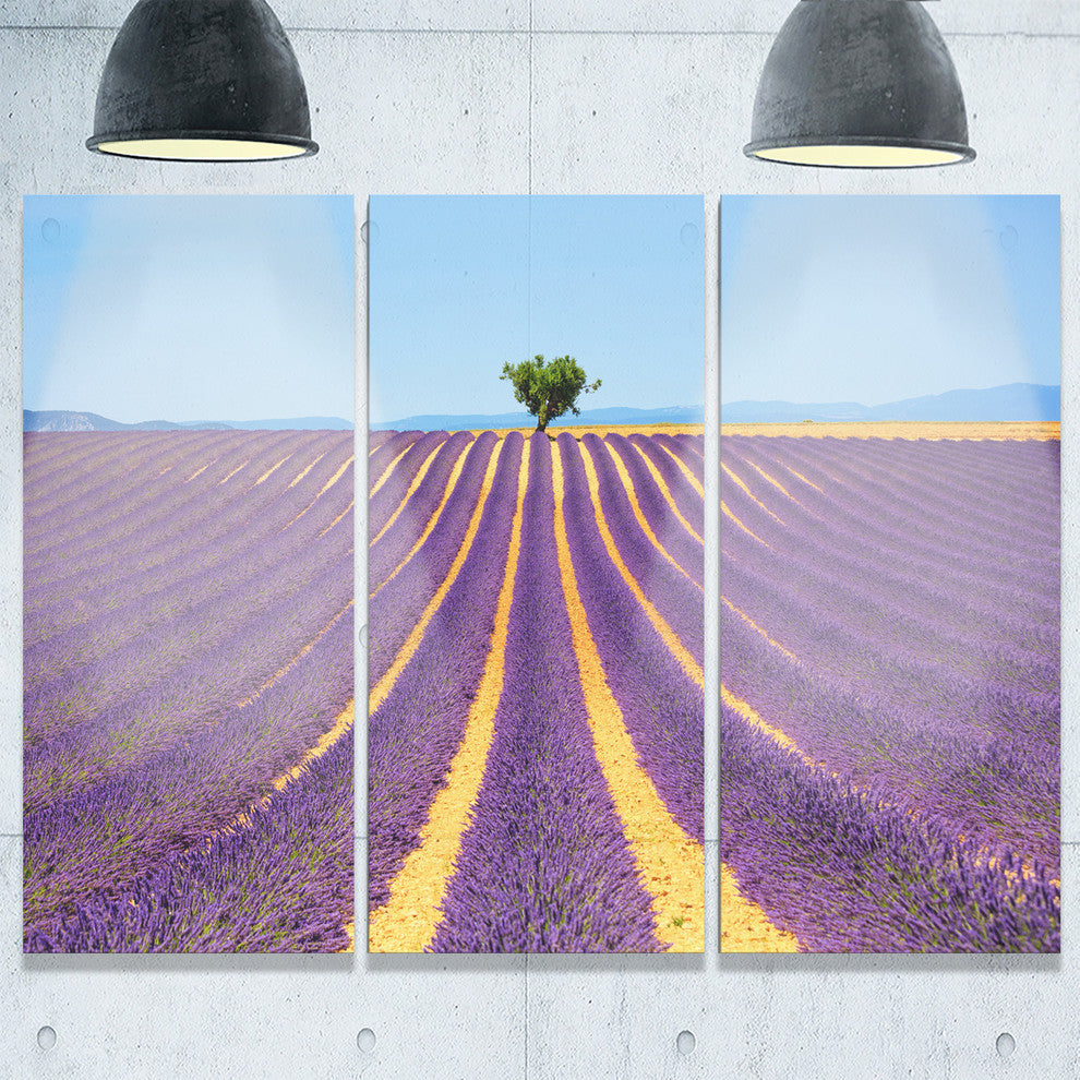 "Lonely Uphill Tree in Lavender Field" Metal Wall Art, 3 Panels, 36"x28"
