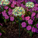 Solar LED Metal Flower Stake Lights, Blue