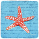 Coral Starfish Coaster - 3 Sets of 4 (12 Total)