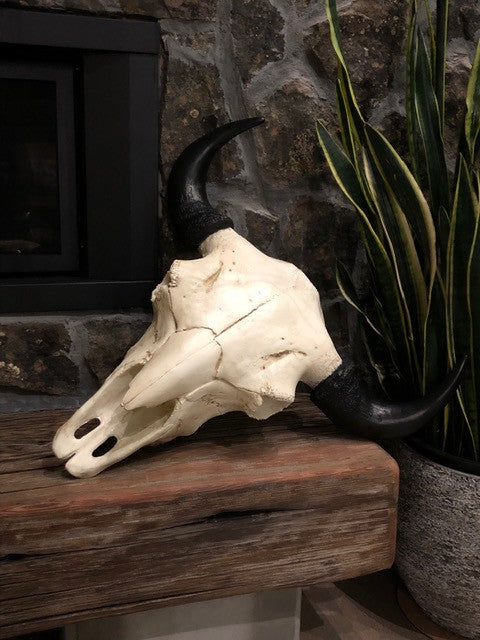 Bison European Mount
