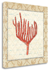 "Coral Beauty Light IV" By Emily Adams, Giclee Print on Gallery Wrap Canvas