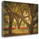 "Three Oaks And Azaleas" By William Guion, Giclee Print on Gallery Wrap Canvas