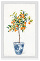 "Decorative Pot" Framed Painting Print