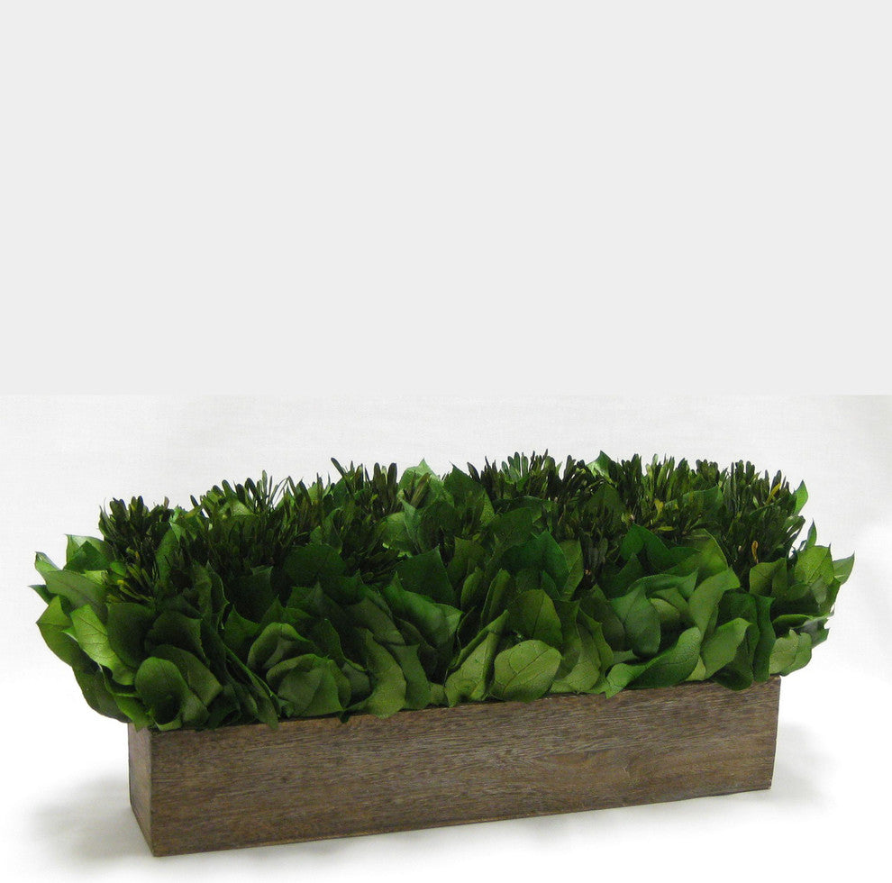 Wooden Container Brown Stain, Salal