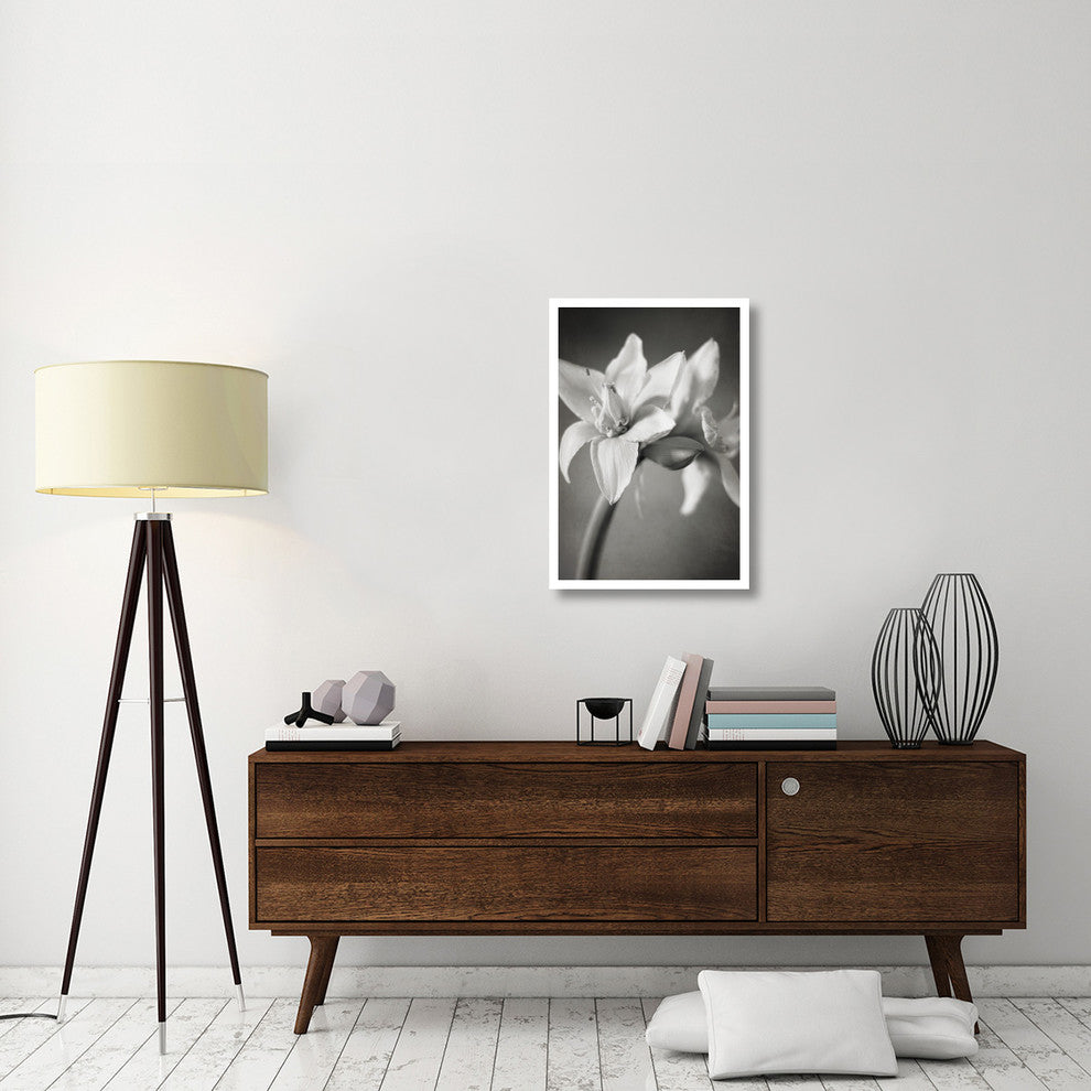 "White Amaryllis I" Digital Paper Print by Laura Marshall, 22"x32"