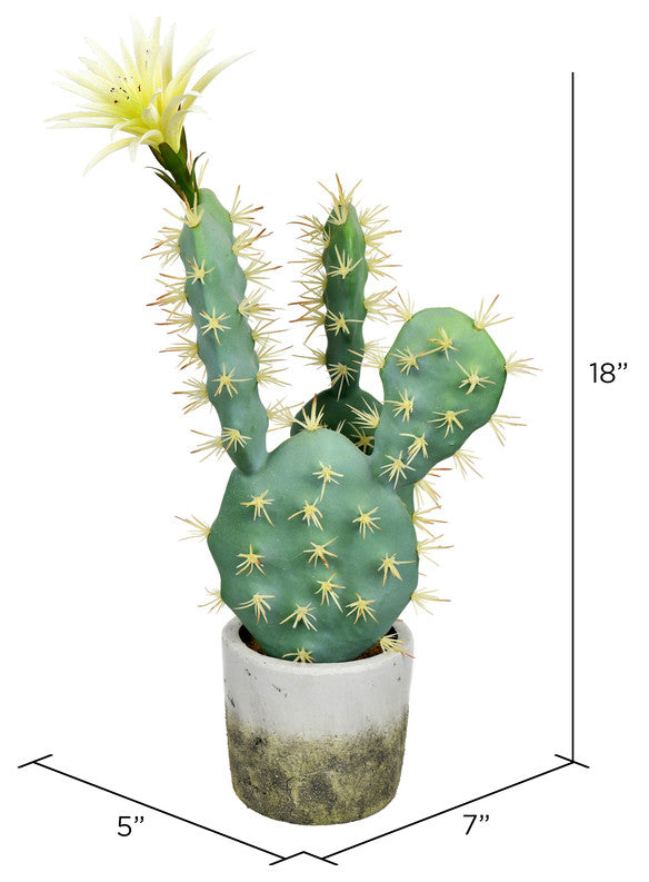 Vickerman FH192501 18" Artificial Green Cactus in Cement Pot