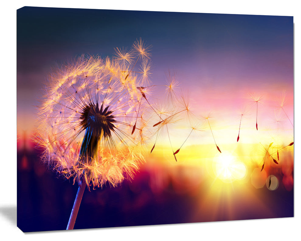 Dandelion at Sunset Freedom to Wish, Oversized Abstract Canvas Art Print, 60x40