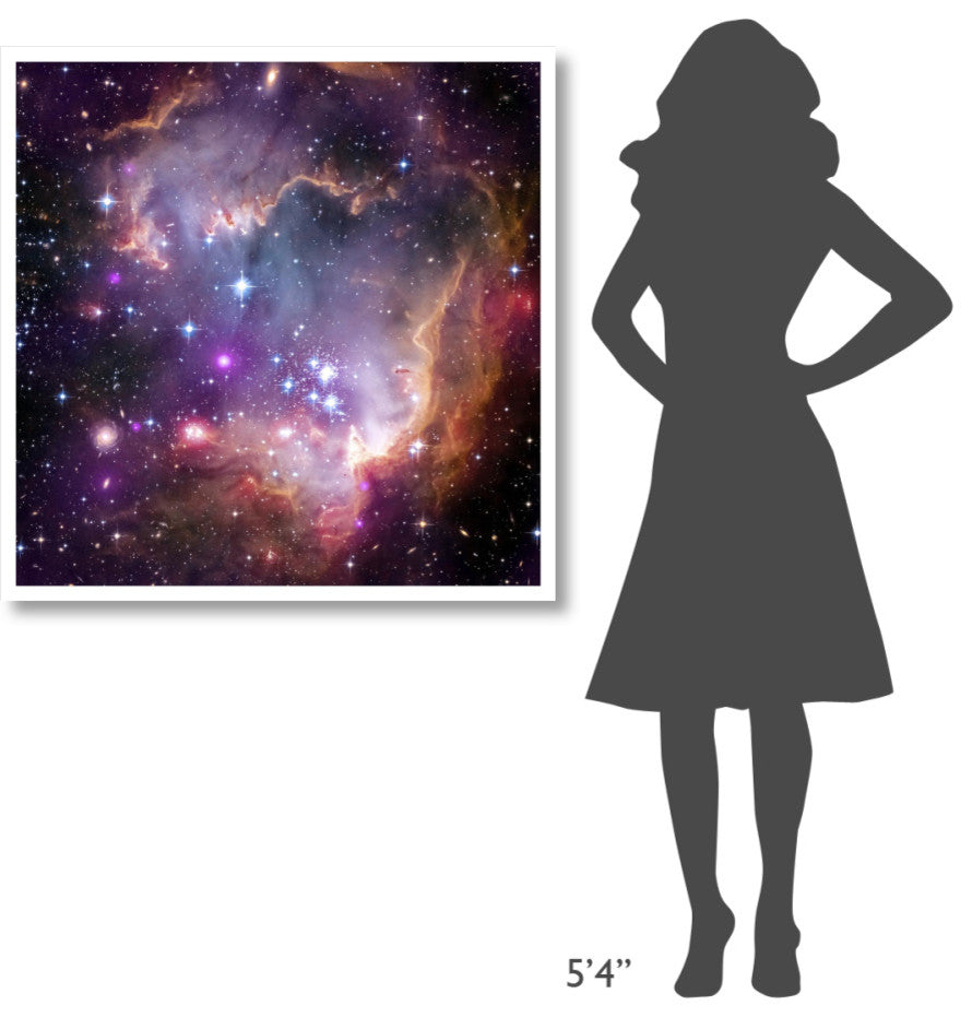 "Under the Wing of the Small Magellanic Cloud" Paper Print by NASA, 38"x38"