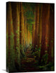 "Forest" Stretched Canvas Giclee by Rui Caria, 15x22"