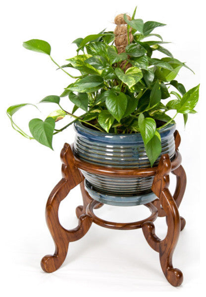 Classic Round Cabriole Plant Stand