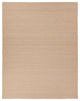 Jaipur Living Facet Handmade Indoor/Outdoor Solid Tan Area Rug 2'X3'